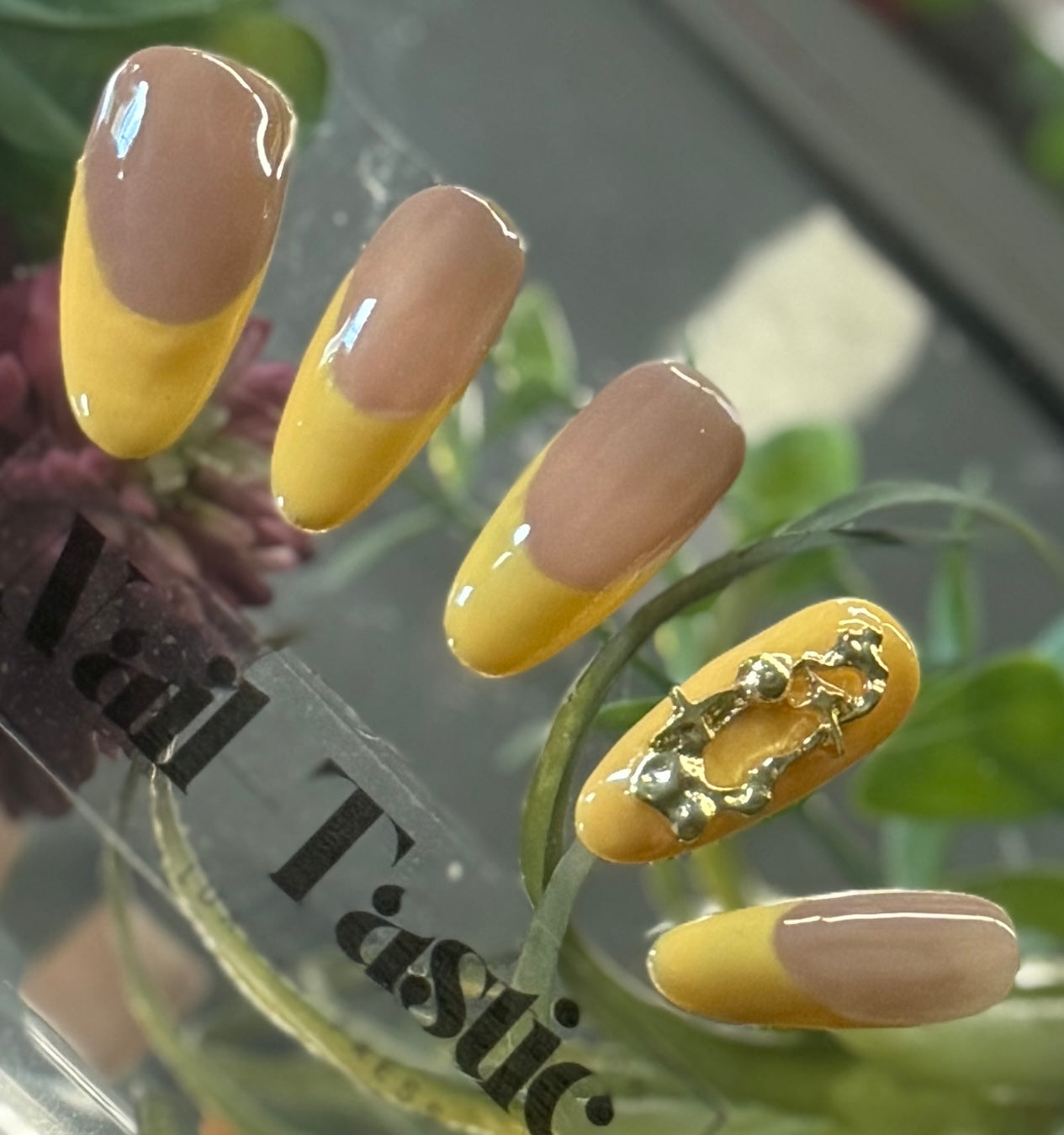 Golden Honey Frenchie